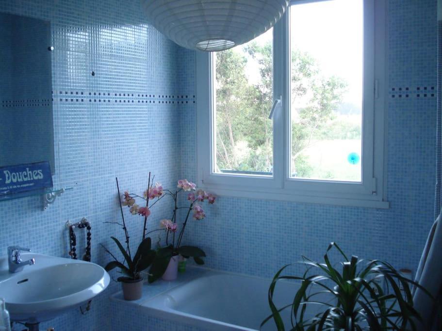 Logement Avec Jardin De Bord Mer Port Navalo Arzon Εξωτερικό φωτογραφία